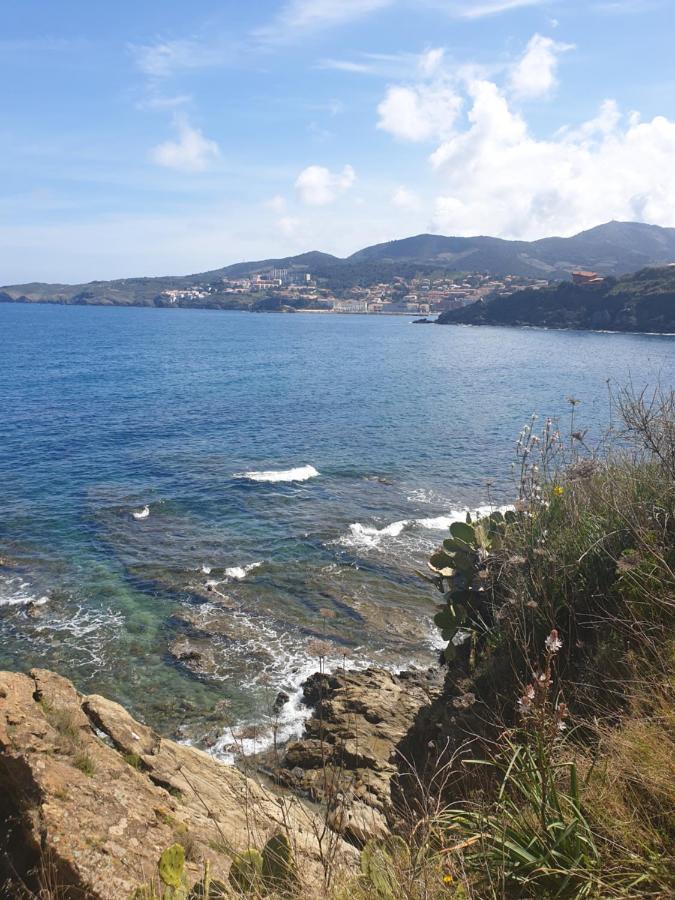 Mas Del Roumany Villa Port Vendres Ngoại thất bức ảnh