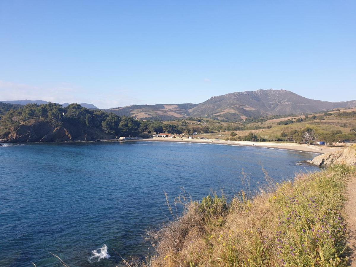 Mas Del Roumany Villa Port Vendres Ngoại thất bức ảnh