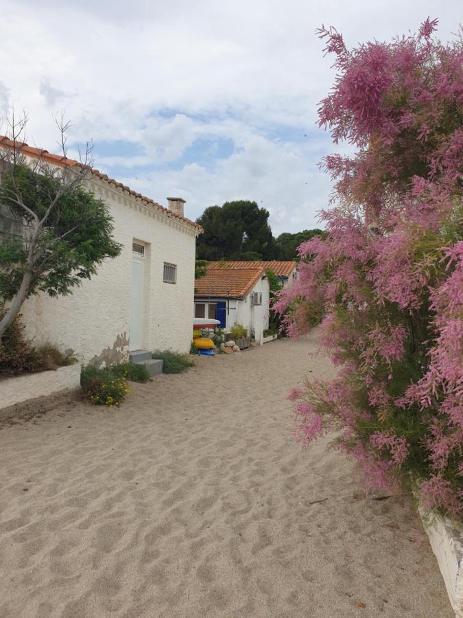 Mas Del Roumany Villa Port Vendres Ngoại thất bức ảnh
